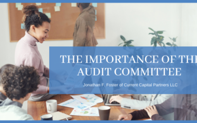 The Importance of the Audit Committee